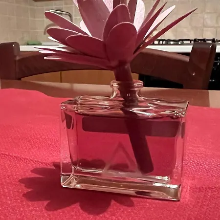 Santarufinahome