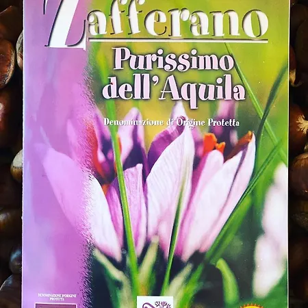 Santarufinahome شقة LʼAquila